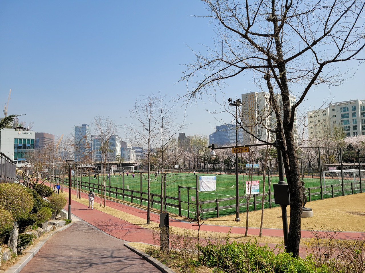 篮和老练的 篮和老练的