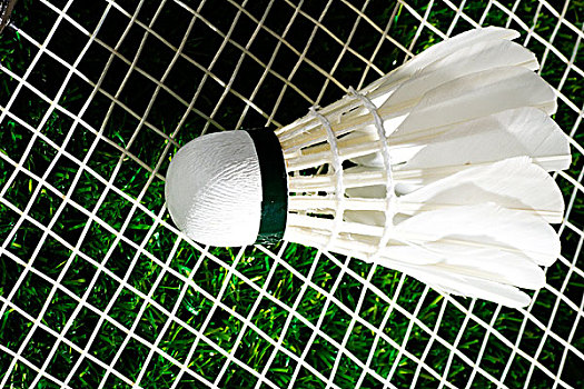 不妨回顾一 不妨回顾一